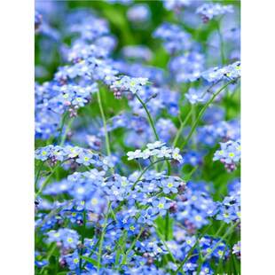 �����ݷN�����A��ɽ�{�����һ��N���ӿ��л�ͥԺ�҃������Դ��ﲥ