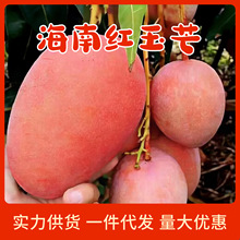 ���տ졿���ϼt��â����â�t��â�������Ꭷ���r�Fժ�l�a��ֱ�l