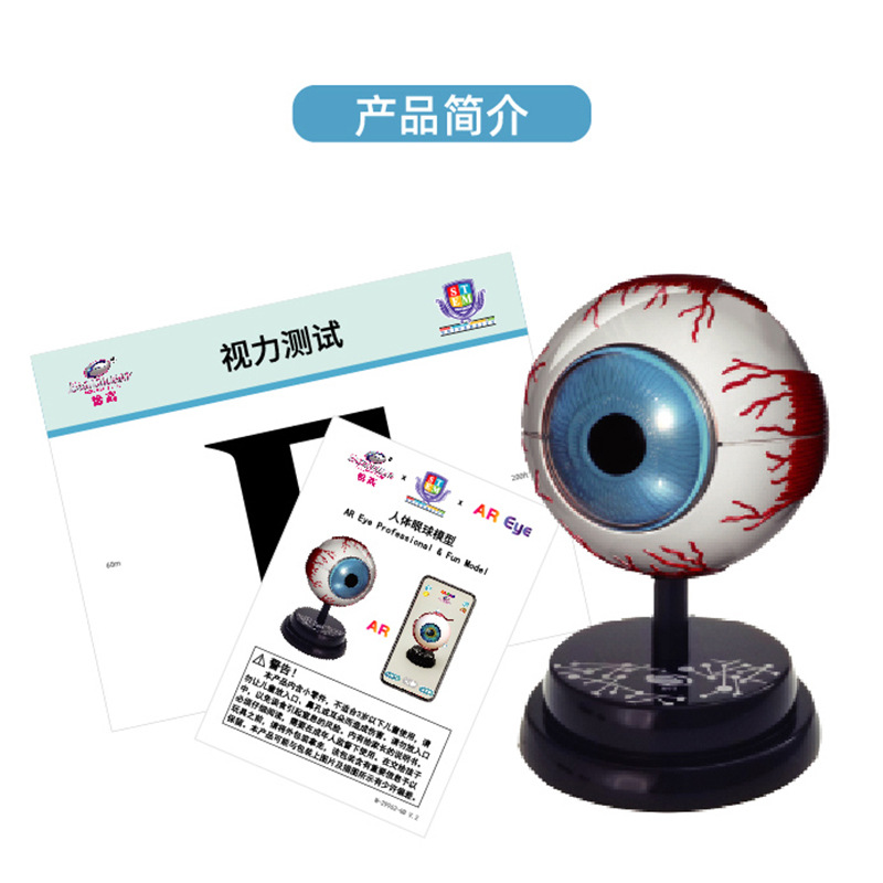 Yigao estudiante oftalmología experimento de lujo traje modelo de ciencia y educación para niños juguete estructura fisiológica modelo de ojo humano