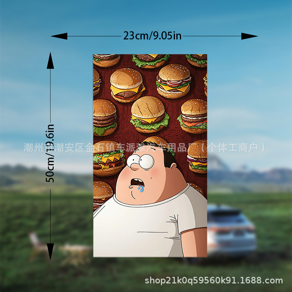 새로운 B필러 스티커 쌍 BZ020