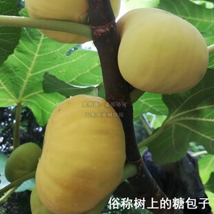 �½����S�o�����������쿹�����ğo�������Ϸ������Nֲ����Y��