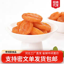 代发红杏干独立包装无核杏肉袋装 新疆杏脯办公室零食品无核果干