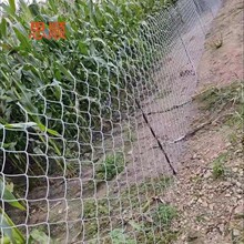 Y�͇����������^�B�u�B��ţ�ھW���������Ӻ���P֧�ΗU �S��ֱ�N