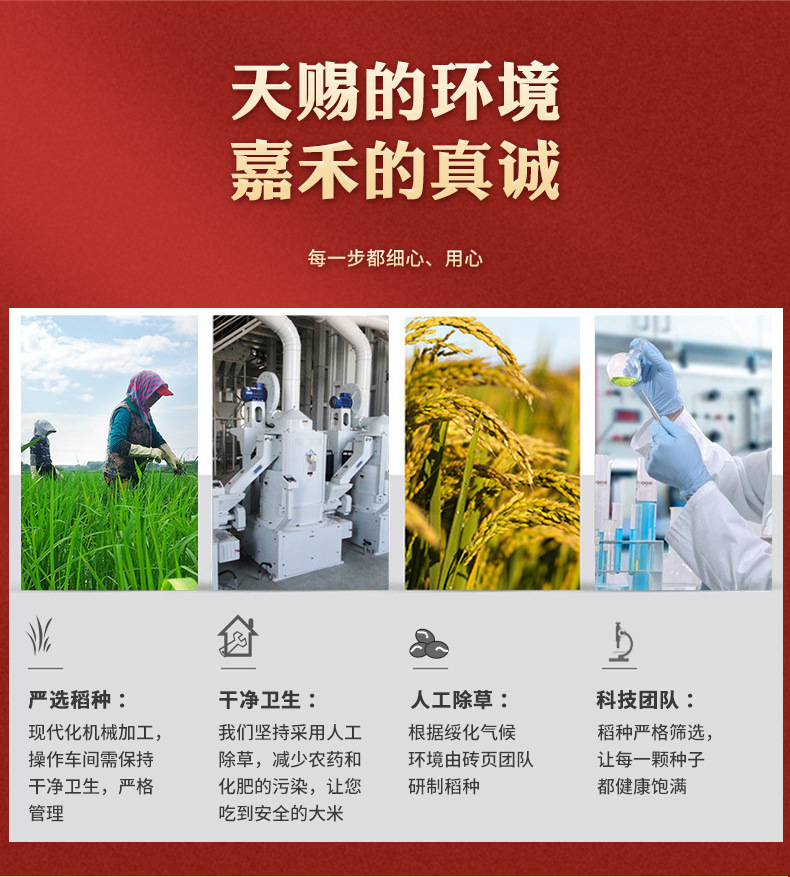 绥粳香米_09.jpg