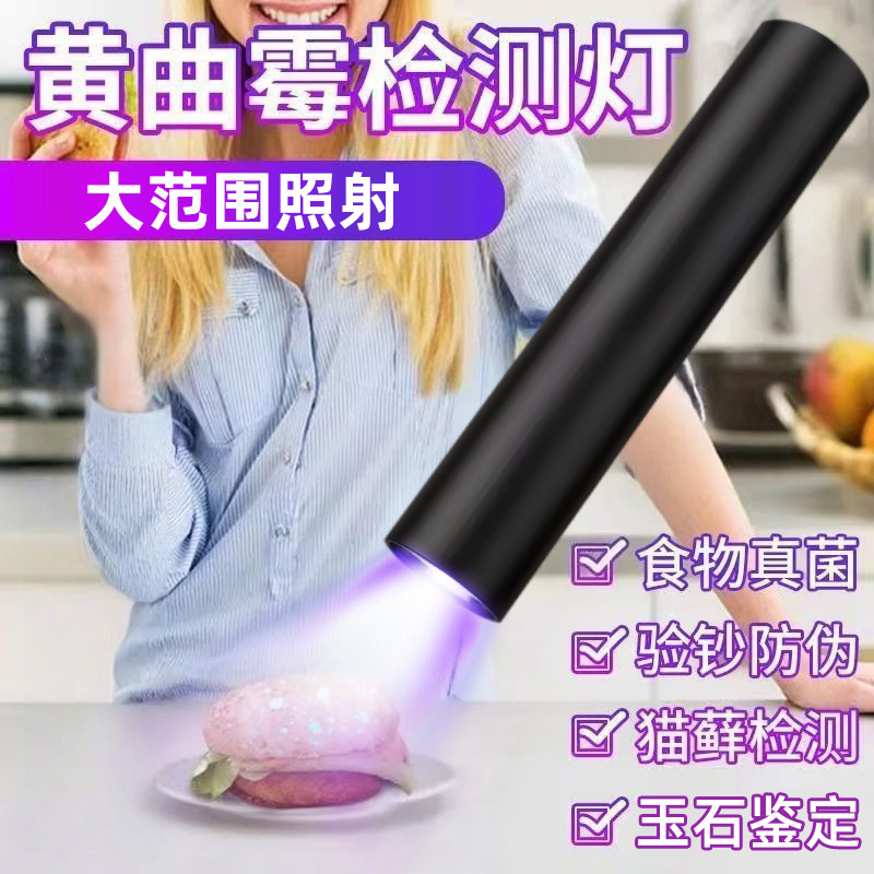 蔬菜波尔多液紫外线手电筒紫光灯猫藓检测黄曲霉素检测ZGD01