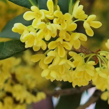 𻨘绨ļͽͺͥԺ̨ϱN