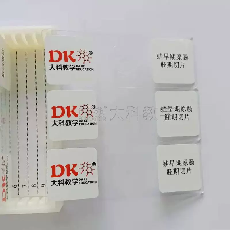 大科教学 蛙原肠胚期切片 生物玻片标本 中小学专用显微镜