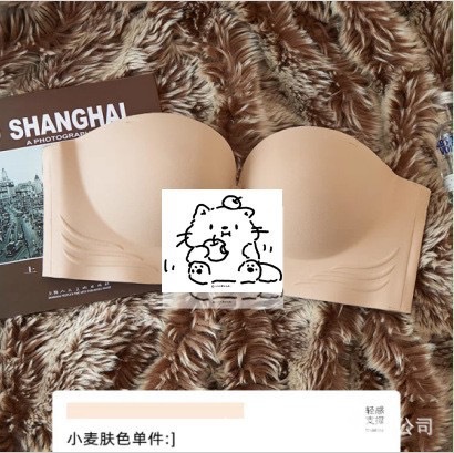 Venta directa de fábrica comercio electrónico transfronterizo Sudeste de Asia Vietnam Tailandia damas sin costuras sujetador de recogida lateral cómodo