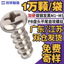 PB加硬圆头自攻螺  十字盘头平尾家具电器玩具塑料壳装配小螺钉