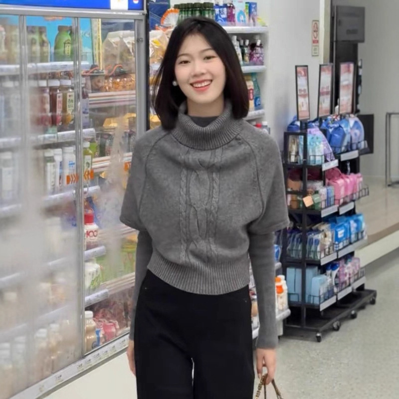 麻花毛衣女秋冬2025新款复古设计感高领修身长袖针织打底衫两件套