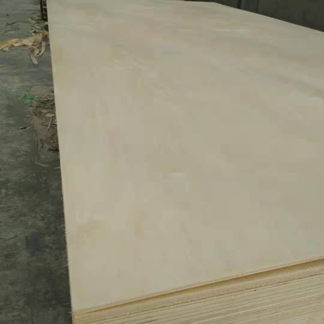 ea5e798bc97b93474de963c1ed0f74