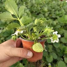 ��ݮ�玧���������莧���ļ��̨�҃����ϱ�����ݮ�����Ԯ���Y��