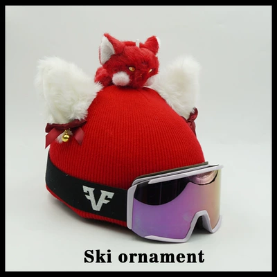Skiing Cover Accessories | Universal Auto Parts and Accessories
