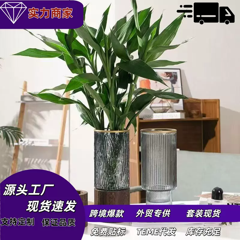 客厅装饰摆件水培富贵竹大花瓶简约创意木托玻璃花瓶银柳插干花瓶