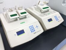 BIO RAD/PCRS1000 ֻ C1000 T100 pcr