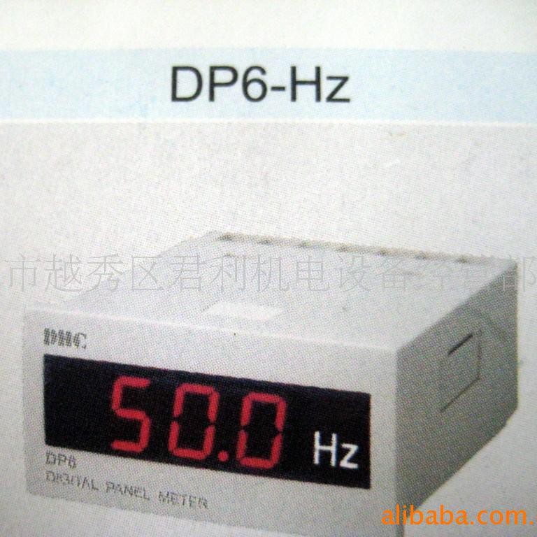 供应大华DP6-HZ数字显示赫兹表(图)