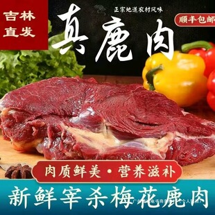 ���ږ|���������r�F���Bֳ÷��¹��¹�����Ｙ����¹�������r���]