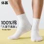 抗菌无骨春秋季男款棉袜子