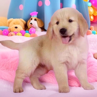 �pѪ�y��ë��Ȯ��Ȯ���w��ë��äȮѲ��Ȯ����Ȯ��HȮ����Ȯ����