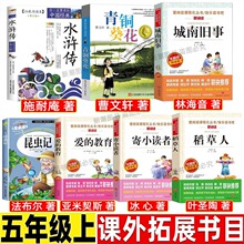 ���xӛ����������ԭ��������С�W�����꼉���x�n����x��չ��Ŀˮ