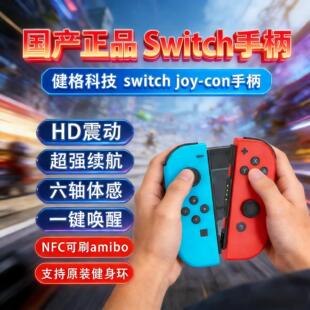 SWITCH �����ֱ� joycom �o���{���w������ NS �Α��ֱ�