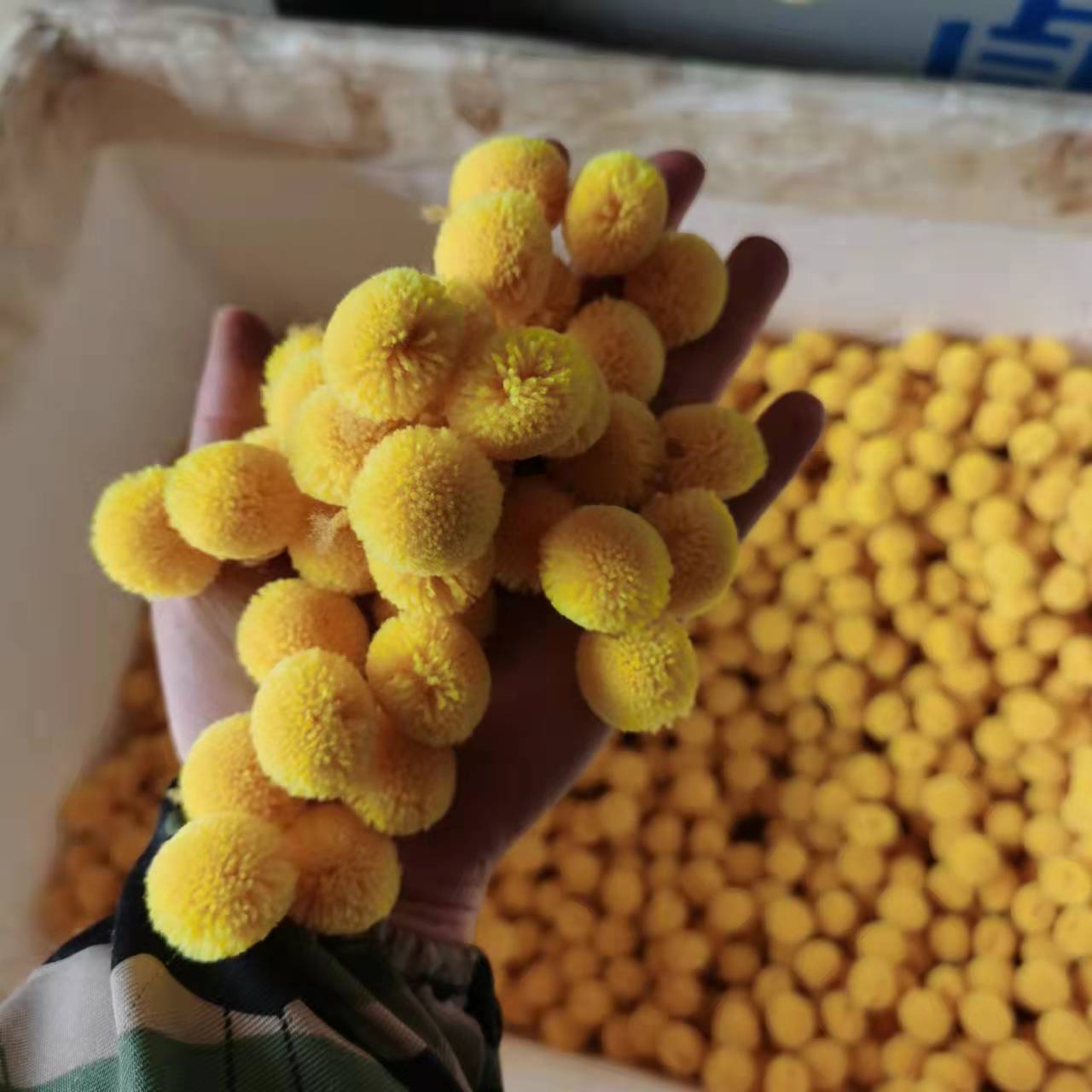 微信图片_20220226151957