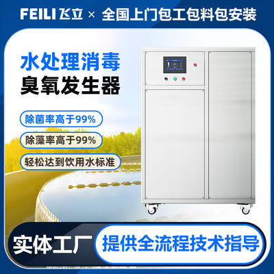 飞立原水杀菌处理用臭氧消毒机 24小时工作空气源臭氧发生器厂家|ms