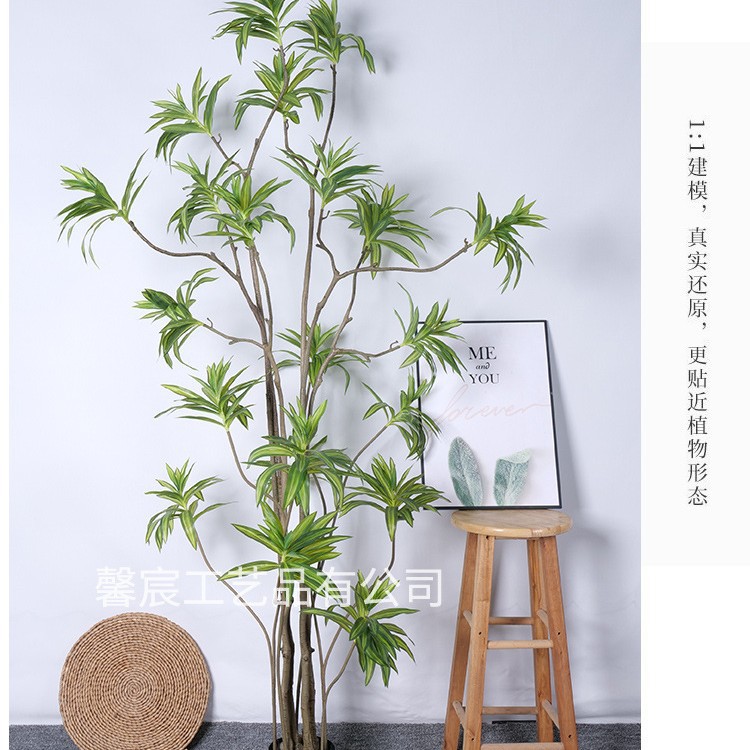 Exquisito alto 220cm 23 cabeza 690