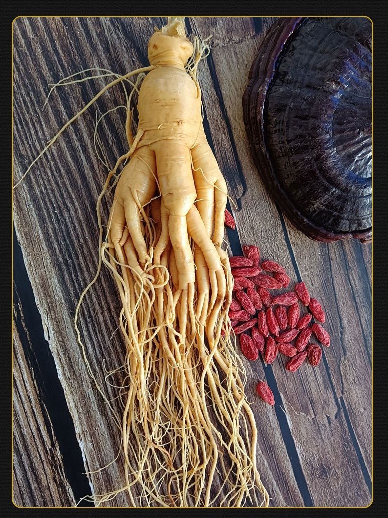 Ginseng Root Ren Shen 长白山人参 Whole Dried Root for Wine Infusion and Cooking 100g key features
