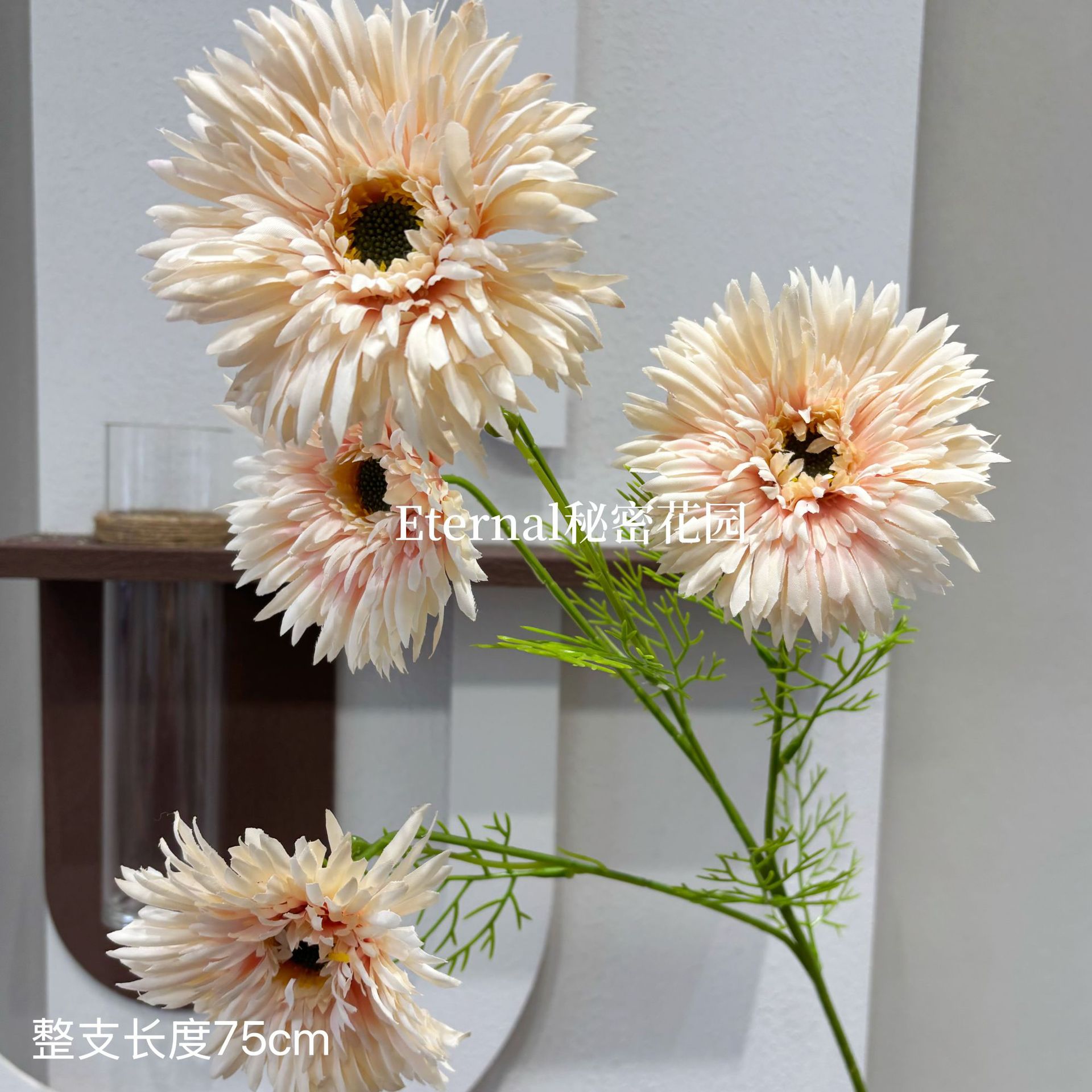 라사 국화 샴페인 핑크