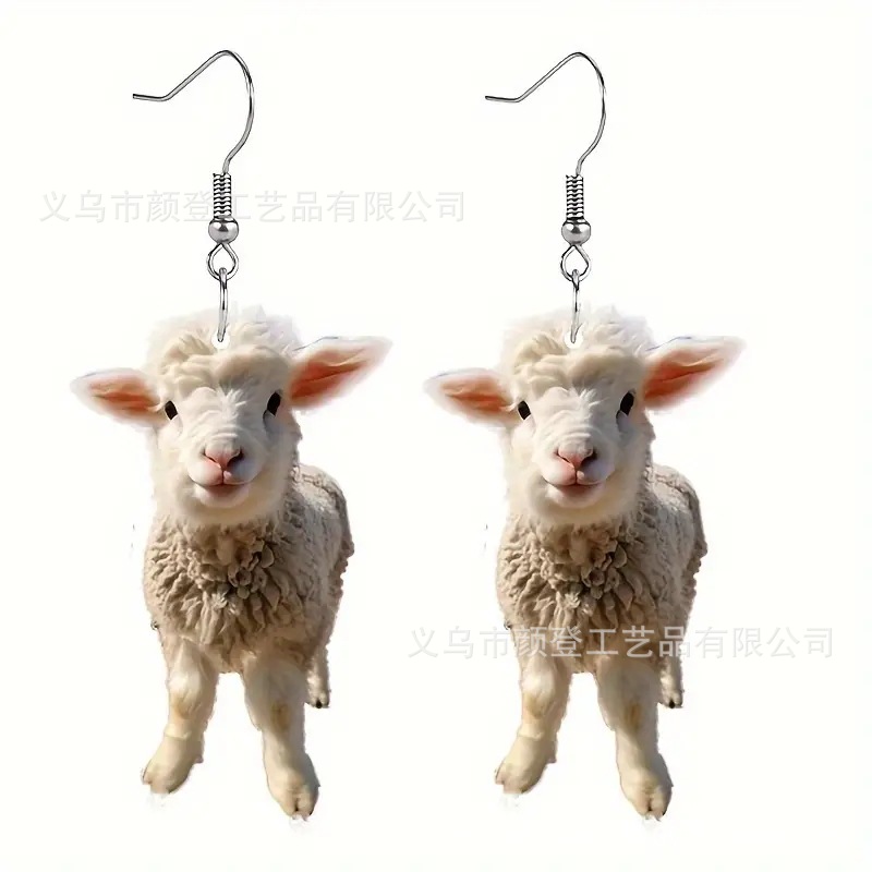 acrylic creative earrings