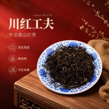 四川茶叶宜宾川红工夫红茶群体种本味特级红茶散装500g