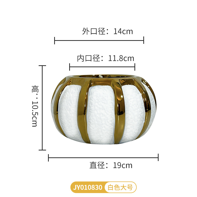 JY010830 (대) 화이트
