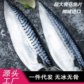 海参;鱼类;贝类