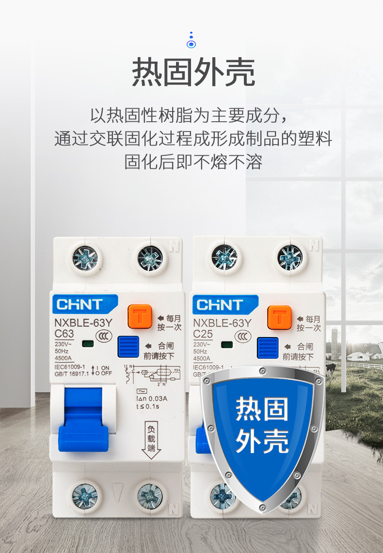 正泰漏电保护断路器漏保家用NXBLE-63Y 1PN C型 16A/20A/32A/63A-阿里巴巴