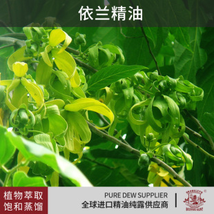 �R�_��˹�Ӯa�^���m�����M�چη�����ֲ�����s��Ħ�������yƷԭ��