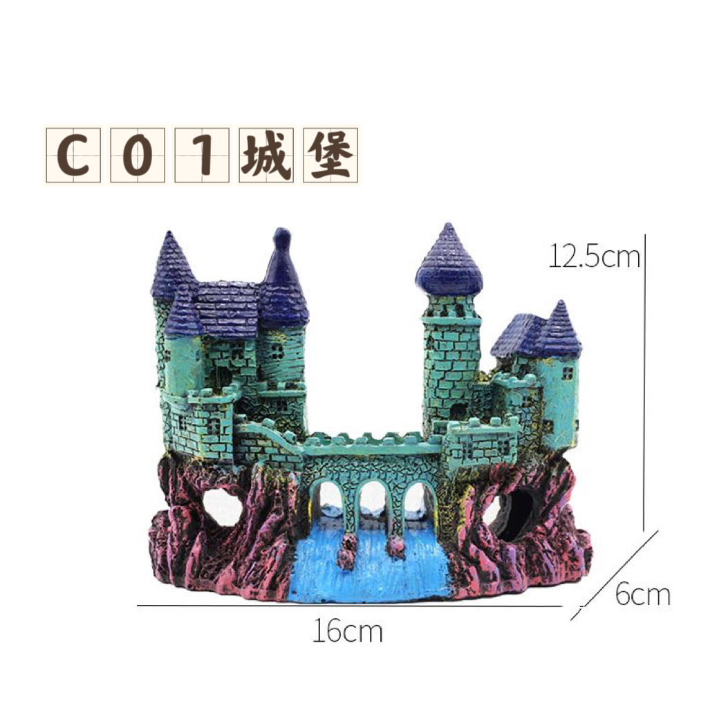 C01 성