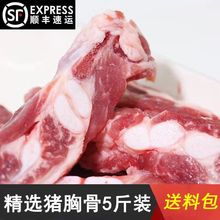 新鲜猪胸骨脆骨猪排骨新鲜猪肉红烧鲜冻猪排骨猪软骨批发商用