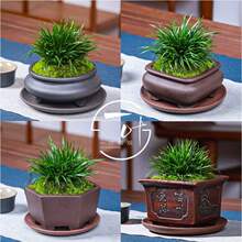 �����ϷŵĻ����X�����辰С�����k���Ҳ����[�������՚��҃�΢��