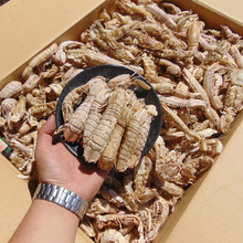 ��10��/�䡿��̖ƤƤ�r�ɻ�偵����ú��r��؛�r���Ӟ|���r�r�ø�