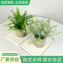 �����������ϼ��{�����Ե���ins�L���¾Gɫ����Gֲ�����Ҿ��k��