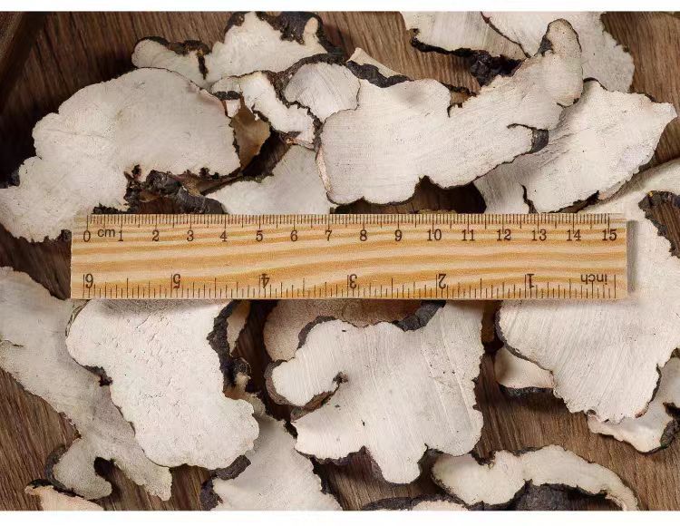 Zhu Ling Slices (Polyporus umbellatus) — Dried TCM Herb for Soup & Decoction, 500g preparation
