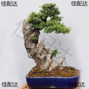 ����ʯ��ɽˮ·���辰����ʯ�^�䱧ʯ�쾰С���b�Ʒ�[��