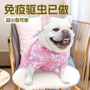 ���l���Ʒ�����ţȮ��Ȯ���w�������pȮС�͌����HȮ���̲豭��