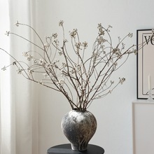 С׹Ȼ֦ɻ֦Lƿ廨b߼滨