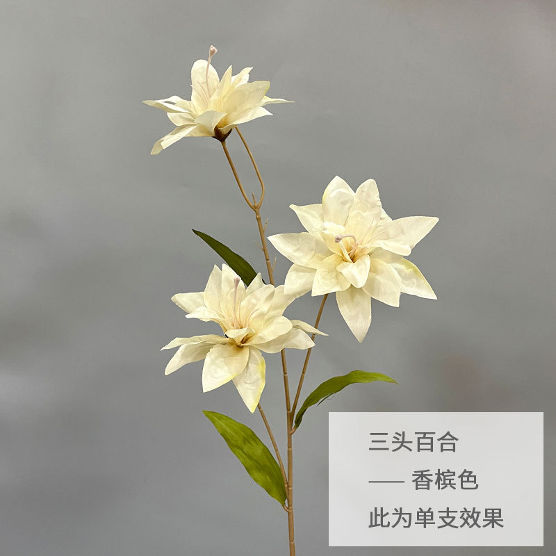 샴페인