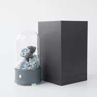 Everlasting flower JANE rose bouquet confession dried flower gift box high-end finished product commemorative gift for girlfriend
