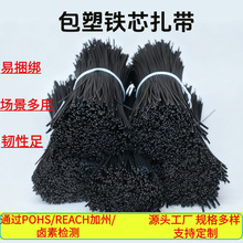 直销0.55包塑铁芯扎线 园林工艺品包塑扎带果树定型条PE包胶扎线