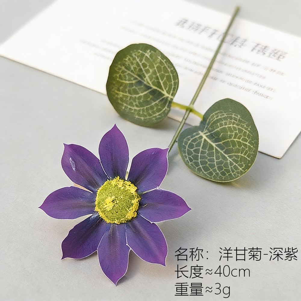 Chamomilla Purple oscuro