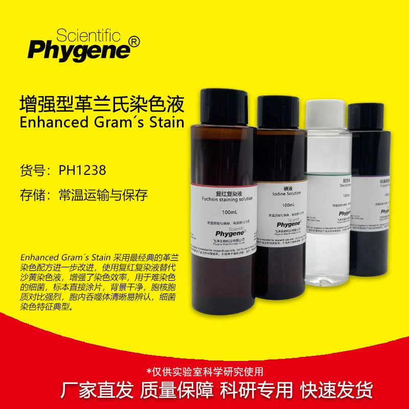 Усиленный окрашивающий раствор по Граму 4 × 100 мл бактериального окрашивания Эксперимент по исследованию PH1238 PHYGENE